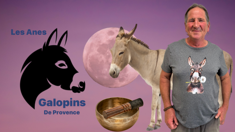 Une soirée magique sous la pleine lune avec les Ânes Galopins de Provence