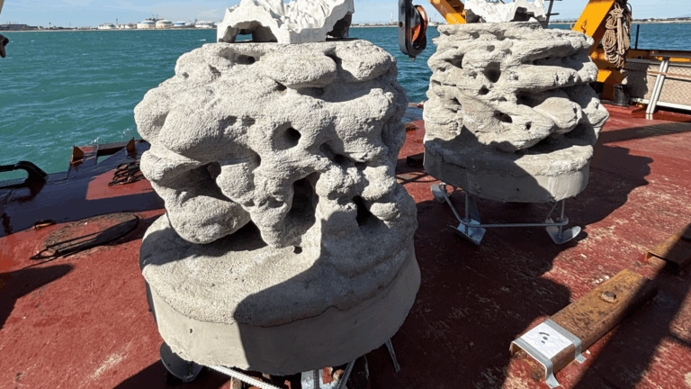 Immersion de récifs artificiels à Fos -sur-Mer : un chantier en faveur de la biodiversité marine