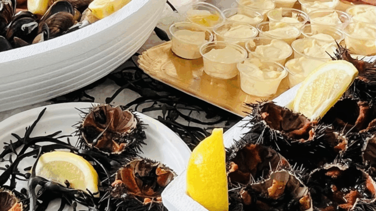 Design sans titre(2)