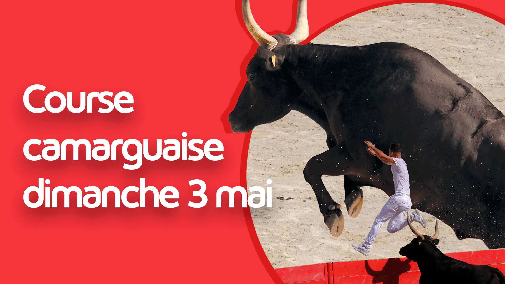 Course camarguaise Avenir, Souvenir Antoine Carelli, Trophée Guillaume Périn