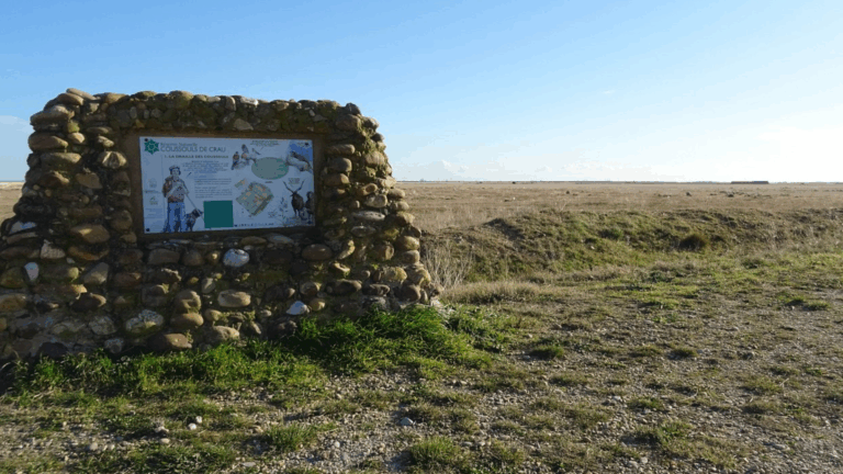 La steppe de Crau 