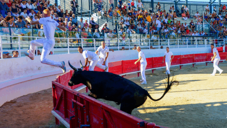 Course Camarguaise de Ligue PACA