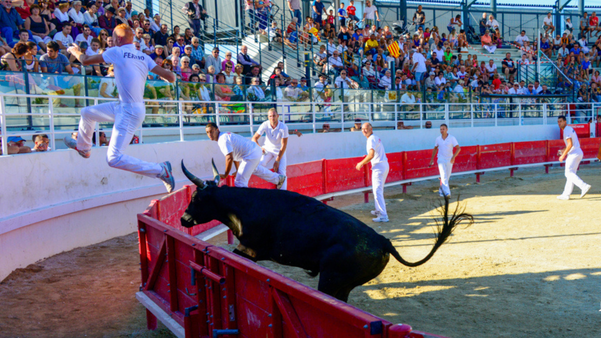 Course Camarguaise de Ligue PACA