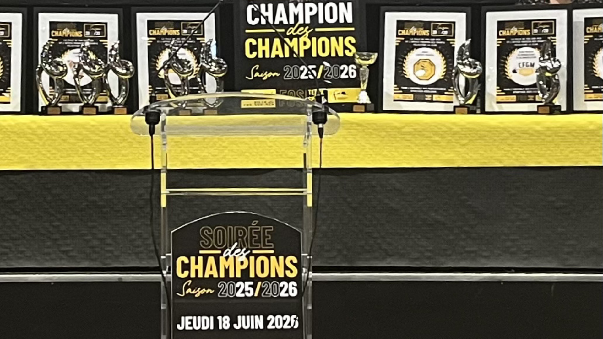 La Soirée des Champions met à l’honneur les sportifs fosséens